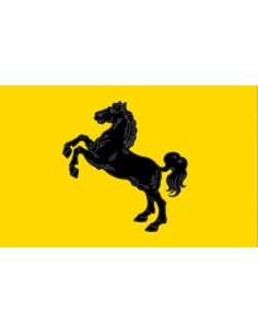 Bandiera Provincia di Napoli