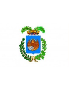 Bandiera Provincia di Venezia